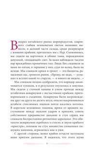 Собрание птиц 13