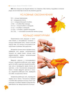 Амигуруми. Вяжем осеннюю сказку 12