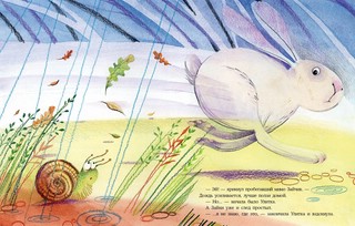 Куда ползет улитка 6