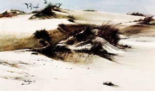 Штормик и мистер Персиваль 4