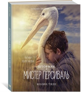 Штормик и мистер Персиваль 8