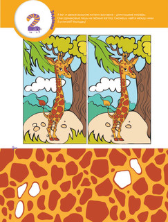 В зоопарке 4