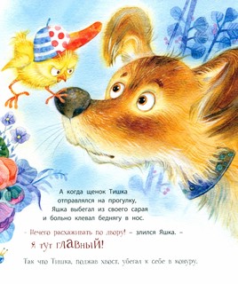 Цыплёнок Яшка, который любил драться 3