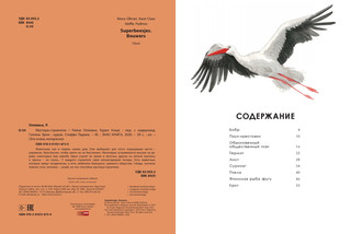 Мастера-строители 2