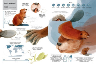 Мастера-строители 3