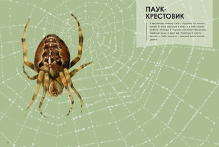 Мастера-строители 4