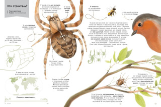 Мастера-строители 5