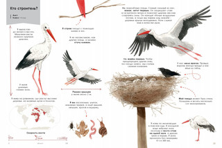 Мастера-строители 6