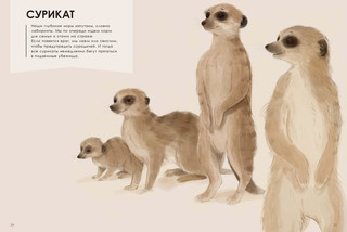 Мастера-строители 7