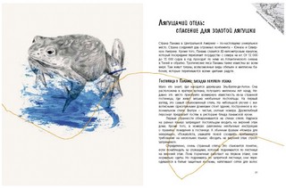 Эффект домино. Невидимые нити природы 3