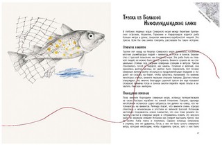 Эффект домино. Невидимые нити природы 4