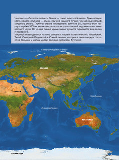 Большая книга о подводном мире. 1001 фотография 8