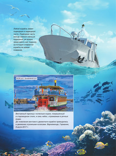 Большая книга о подводном мире. 1001 фотография 9