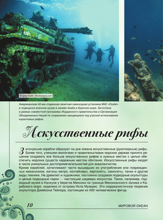 Большая книга о подводном мире. 1001 фотография 11