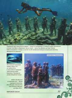 Большая книга о подводном мире. 1001 фотография 12