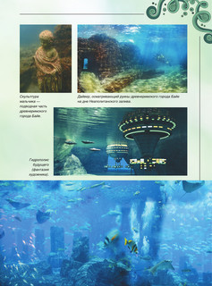 Большая книга о подводном мире. 1001 фотография 14