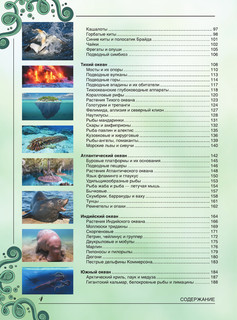 Большая книга о подводном мире. 1001 фотография 5