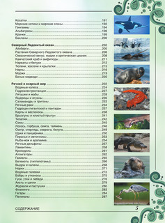 Большая книга о подводном мире. 1001 фотография 6