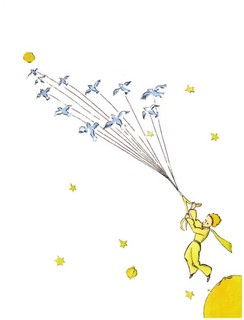 Маленький принц 5