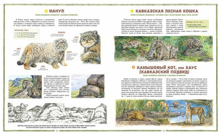 Исчезающие животные России 2