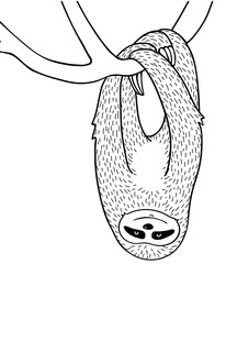 Раскраска для ленивых. Раскраски антистресс 12