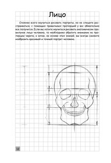 Творческий курс по рисованию. Анатомия человека 13