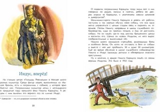 Знаменитые собаки 7