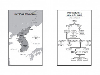 Великий Преемник. Божественно Совершенная Судьба Выдающегося Товарища Ким Чен Ына 5