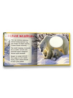 Тактильная книжка. Я познаю животный мир 2