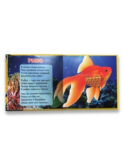 Тактильная книжка. Я познаю животный мир 3