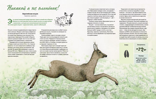 Наши соседи по планете. Рассказы о диких животных 2