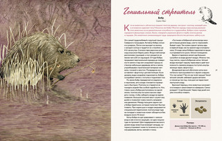 Наши соседи по планете. Рассказы о диких животных 3