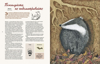 Наши соседи по планете. Рассказы о диких животных 5