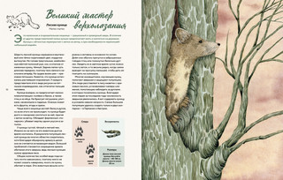 Наши соседи по планете. Рассказы о диких животных 6