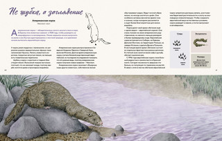 Наши соседи по планете. Рассказы о диких животных 7