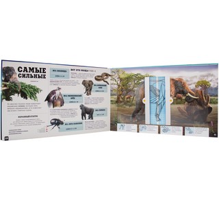 Природа сквозь рентген. Чудо-животные 2