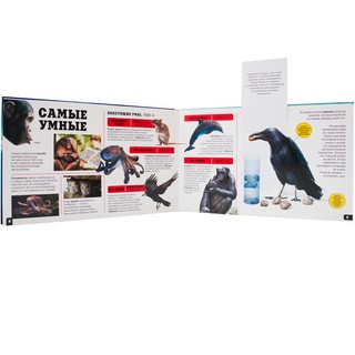 Природа сквозь рентген. Чудо-животные 3