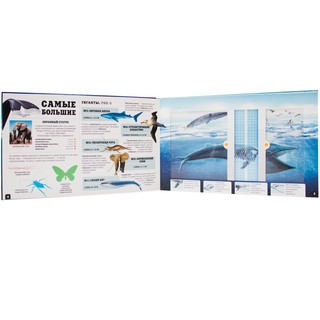 Природа сквозь рентген. Чудо-животные 4