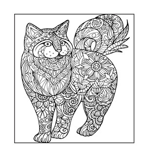 Котятки — мягкие лапки 6