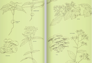 14 лесных мышей. Сладкая картошка 2