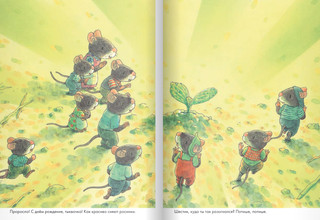 14 лесных мышей. Тыква 8