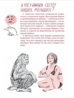 Месячные: твое личное приключение! 6