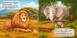 Книжки - картонки. Дикие животные. Загадки-рифмы 3