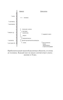 Что за безумное стремленье! 11