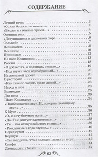 Незнакомка. Стихи. Поэма 2