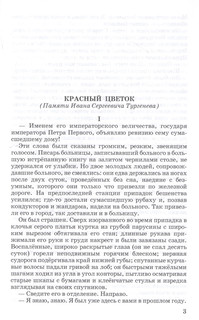 Красный цветок 3