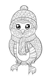 Лисы и совы. Раскраски антистресс 2