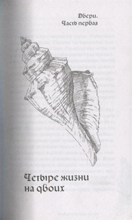 Двери города книг 5