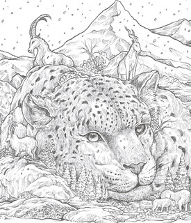 Хрупкий мир. Экстремальные раскраски 2