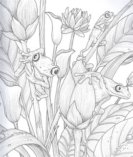 Хрупкий мир. Экстремальные раскраски 4